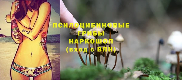 меф Инта