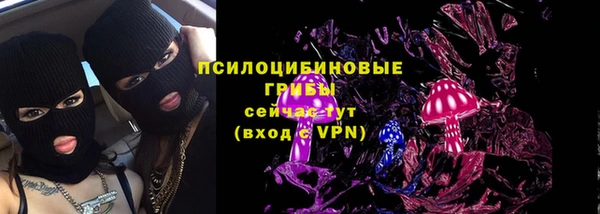 хмурый Каменка