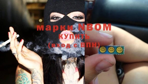 амф Инсар