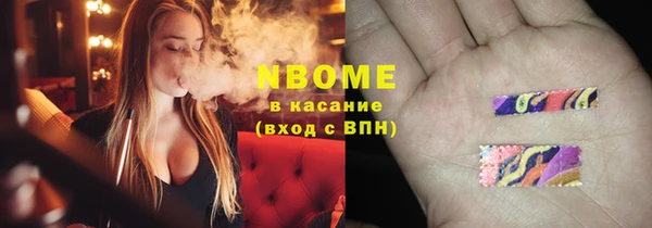 амф Инсар