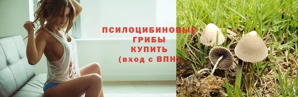 меф Инта